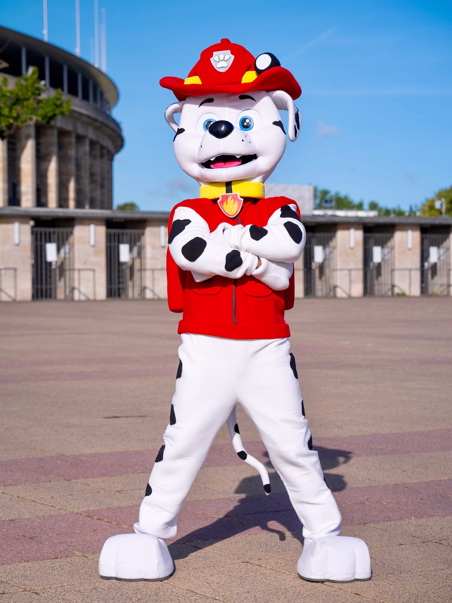 Marshall als Maskottchen für Kindergeburtstag und Event in Berlin buchen