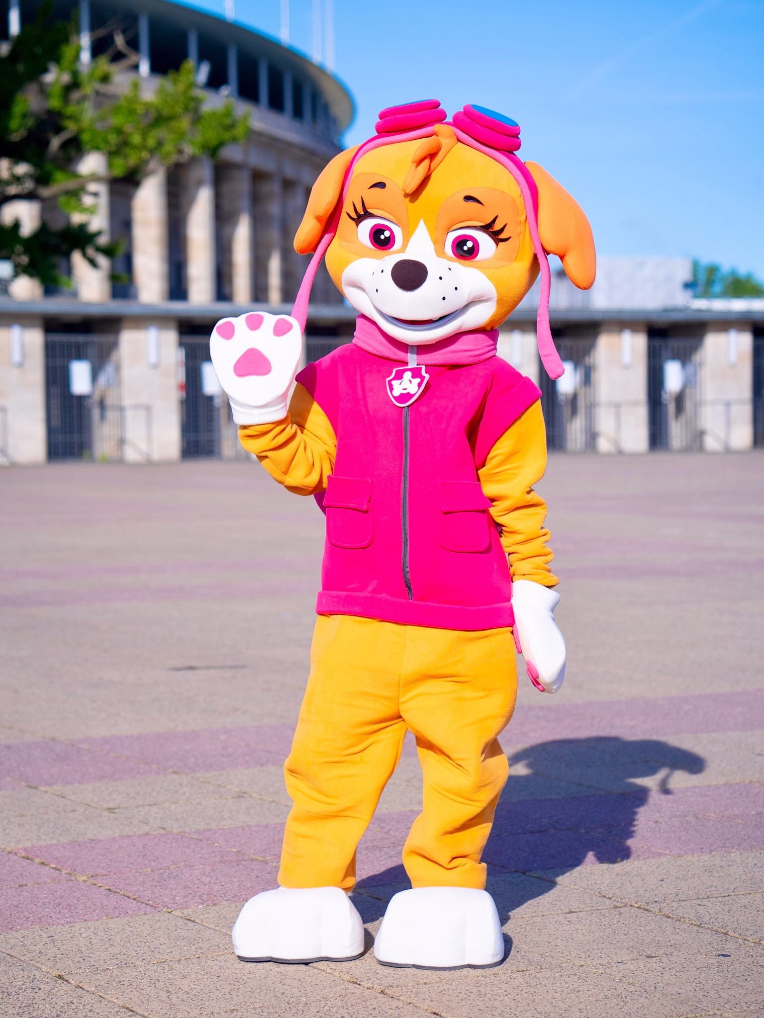 Skye als Maskottchen für Kindergeburtstag und Event in Berlin buchen